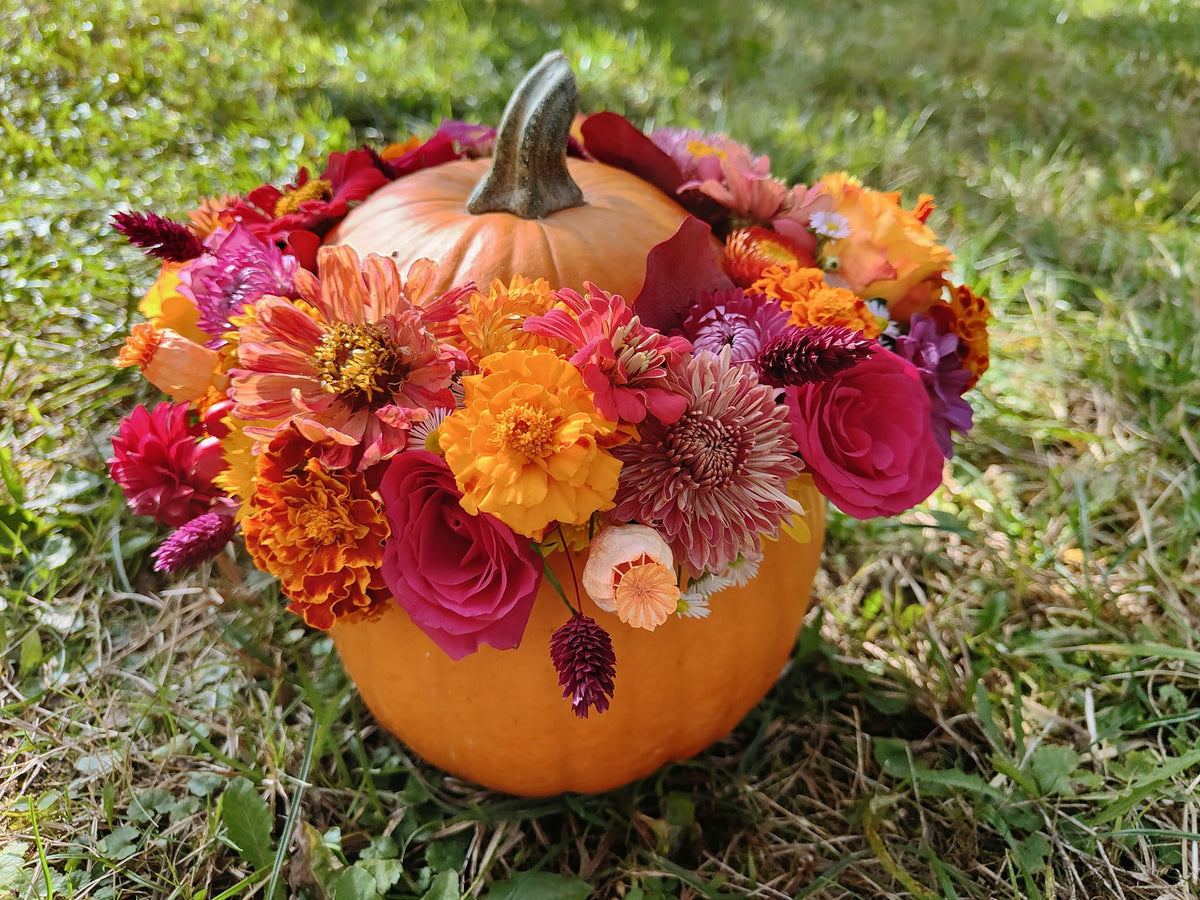 Autumn Bloom Pumpkin