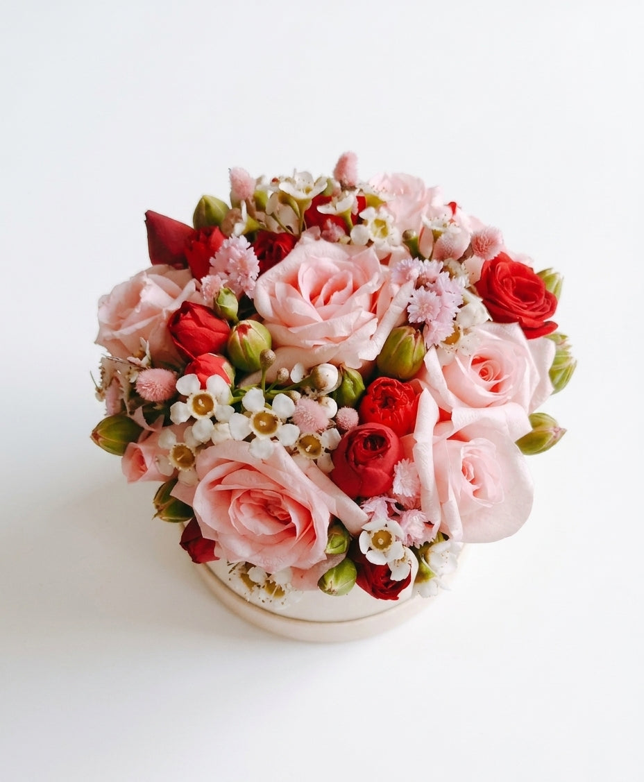 Pastel Romance